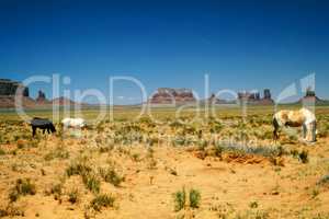 Horses in Monument Valley