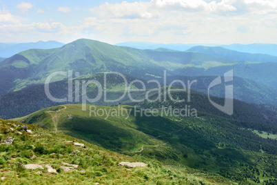 Beautiful mountains covered trees