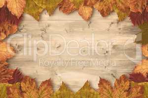 Composite image of autumn leaves pattern