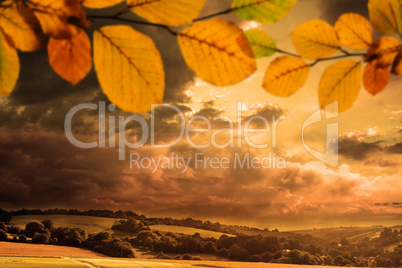 Composite image of autumn leaves