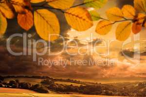 Composite image of autumn leaves