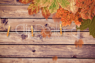 Composite image of autumn leaves pattern