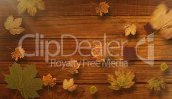 Composite image of autumn leaves pattern