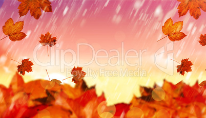 Composite image of autumn leaves