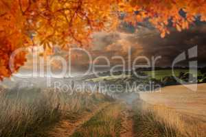 Composite image of autumn leaves