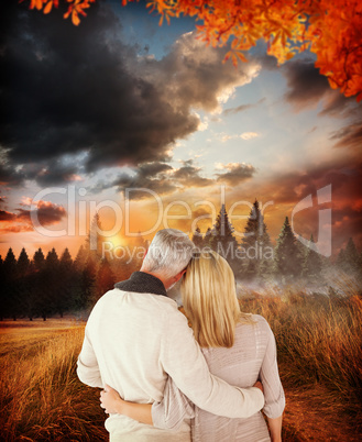 Composite image of rear view of couple with arms around