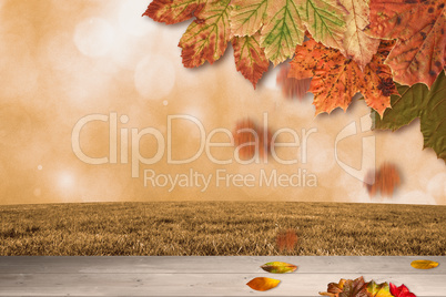 Composite image of autumn leaves pattern Composite image of autumn leaves pattern