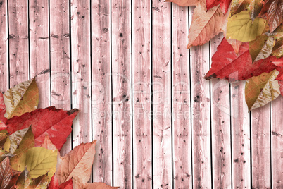 Composite image of autumn leaves pattern