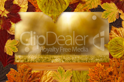 Composite image of autumn leaves pattern