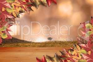 Composite image of autumn leaves pattern