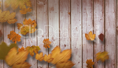 Composite image of autumn leaves