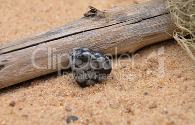 Schneeflockenobsidian am Strand