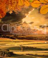 Composite image of autumn leaves