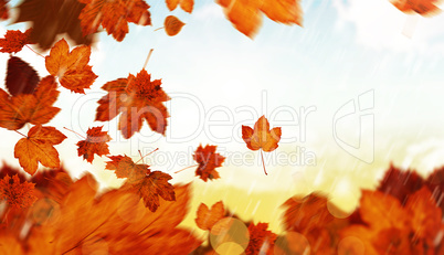 Composite image of autumn leaves