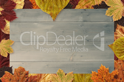 Composite image of autumn leaves pattern