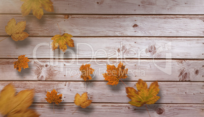 Composite image of autumn leaves pattern