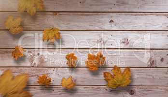 Composite image of autumn leaves pattern