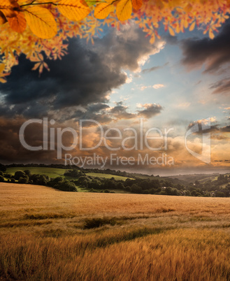 Composite image of autumn leaves