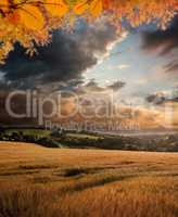 Composite image of autumn leaves