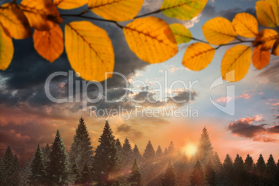 Composite image of autumn leaves