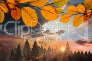 Composite image of autumn leaves