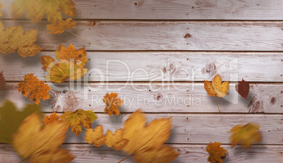 Composite image of autumn leaves