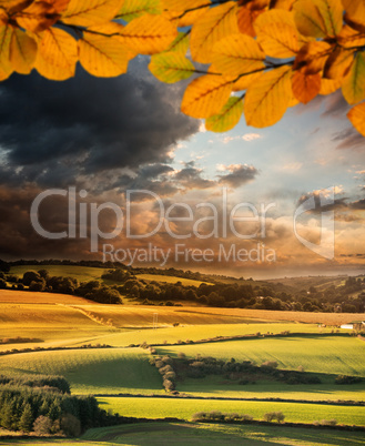 Composite image of autumn leaves