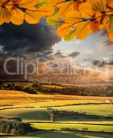 Composite image of autumn leaves