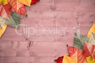 Composite image of autumn leaves pattern