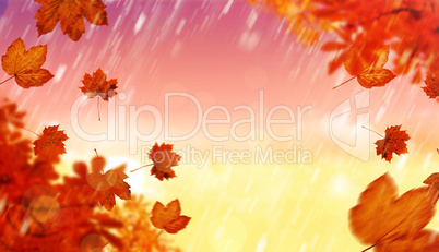 Composite image of autumn leaves