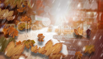 Composite image of autumn leaves