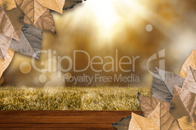 Composite image of autumn leaves pattern