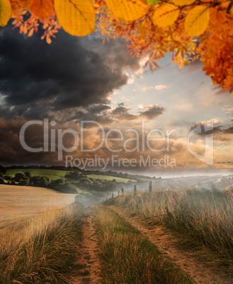 Composite image of autumn leaves