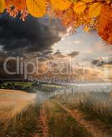 Composite image of autumn leaves