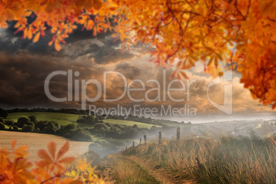 Composite image of autumn leaves