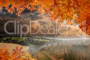 Composite image of autumn leaves