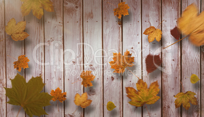 Composite image of autumn leaves pattern