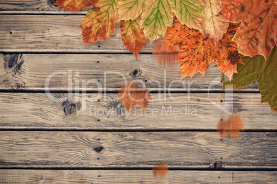 Composite image of autumn leaves pattern