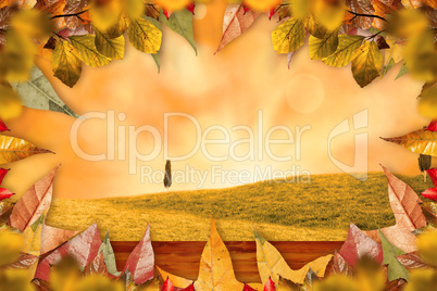 Composite image of autumn leaves pattern