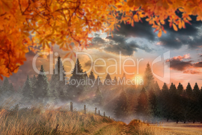 Composite image of autumn leaves