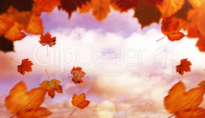 Composite image of autumn leaves pattern