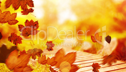 Composite image of autumn leaves