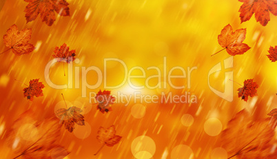 Composite image of autumn leaves pattern