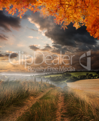 Composite image of autumn leaves