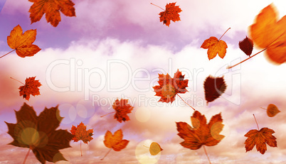 Composite image of autumn leaves pattern