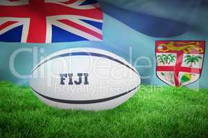 Composite image of fiji rugby ball