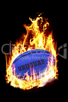 Composite image of uruguay rugby ball
