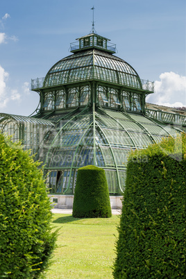 Palmenhaus im Wiener Schlosspark Schönbrunn