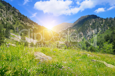 mountains, alpine meadows and sunrise