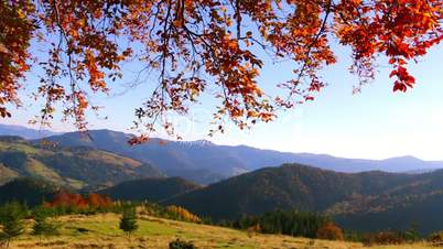 Golden Foliage and Mountains Panorama